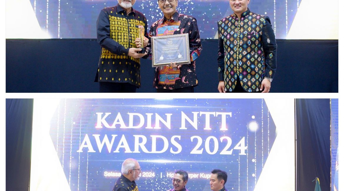 PT. DLU Menerima Penghargaan dalam Kadin NTT Award 2024